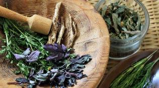 folk tambal alang sa prostatitis
