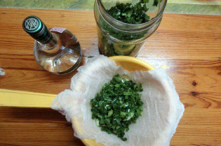 kolanchoe ug vodka tincture