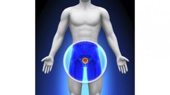 prostatitis sa usa ka lalaki